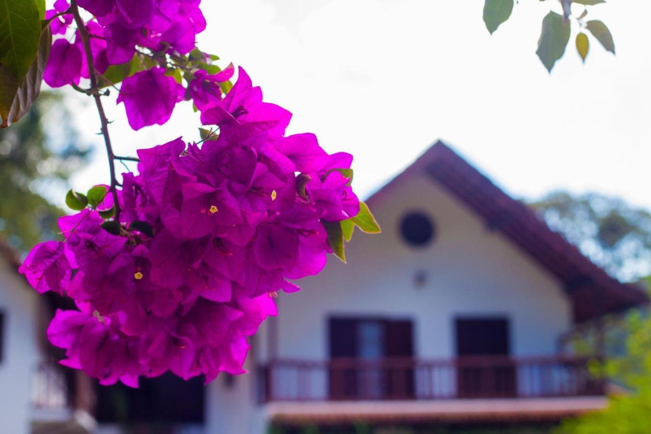 Pousada Taverna Do Golf Teresópolis Екстериор снимка